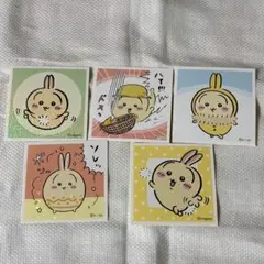 우사기 씰 5장 세트