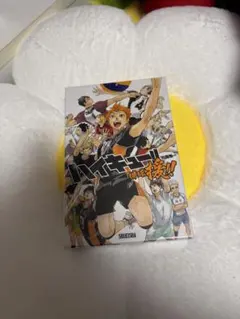 ハイキュー ボードゲーム ボドゲ 排球援