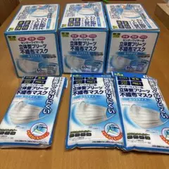 PM2.5対応 立体型プリーツマスク まとめ売り