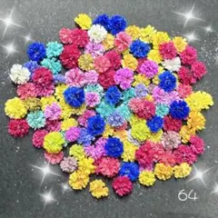 かすみ草ドライフラワー120粒レジン、パーツ、ハーバリウム等に