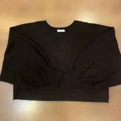 LEPSIM 袖ボリューム プルオーバーニット ショート丈 ブラウン