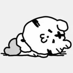 専用