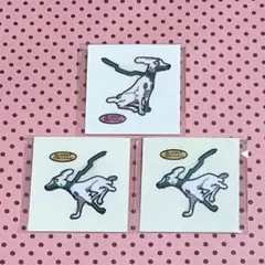 ポケモン デコキャラシール 第209弾 第215弾 白いジガルデ 10%フォルム
