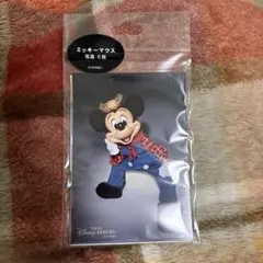 新品　ディズニー ミッキー　写真　セット　ランド 写真セット ミニー フレンズ