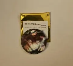 鬼滅の刃　雷の呼吸アニメーション缶バッジ 缶バッジ　善逸 E