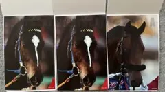 Item thumbnail for item 58277c98-eec4-4204-927c-b85c97073aa3