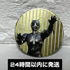 ワンピース ゾロ 輩缶バッジ 42個セット - メルカリ