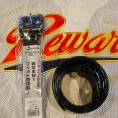 Item thumbnail for item 167fdc65-3d2a-4118-b43f-45175286fce5