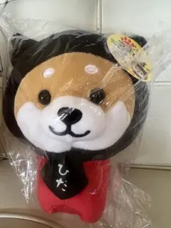 柴犬 ぬいぐるみ ひだ 飛騨限定 ご当地マスコット