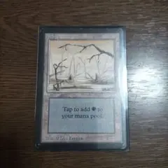 MTG A/Two Branches 沼/Swamp LEB ベータ