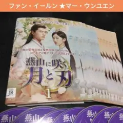 風起西州～烈風に舞う花衣～」DVD 全19巻完結セット 中国ドラマ