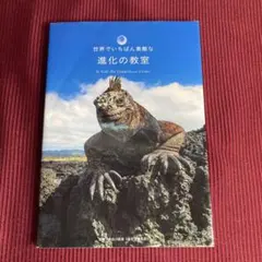 Item thumbnail for item a4a18bc7-16ca-4f1f-9937-3b8cf5b1e4b2