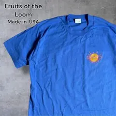 90s USA製 シングルステッチFRUITOFTHELOOM グラフィックT