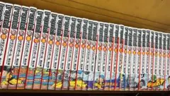 Item thumbnail for item 3259c80d-32cf-457f-bdcd-357fc5d99fa4