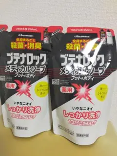 ブテナロック メディカルソープ フット＆ボディ 詰め替え用 250mL 2袋のサムネイル