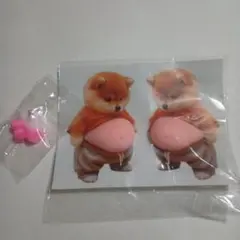 柴犬　お腹　シール　スクイーズ　お腹　ぽっこり　シリコン　肉球　ぷにぷに