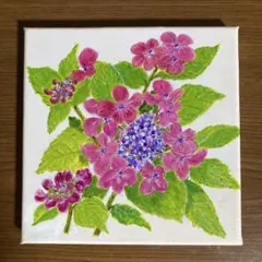1004☆水彩画 原画 夏がやって来た 花 タチアオイ - メルカリ