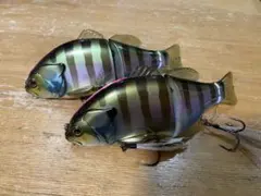 Item thumbnail for item 0ab7aac0-d218-474c-b4f9-94b9e65322dd