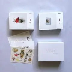 A VERY MERRY EVERY DAY to you 日めくりカレンダー