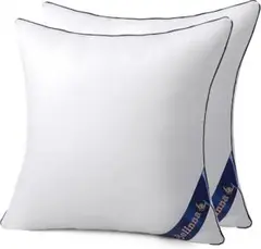 Belinnaクッション 45x45cm ホワイト 2個セット 抱き枕 厚い