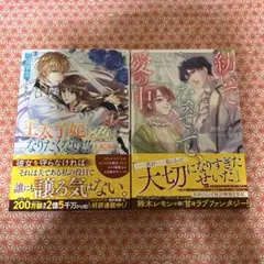 ライトノベル セット