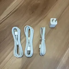 Lightningケーブル 3本とUSBアダプタセット