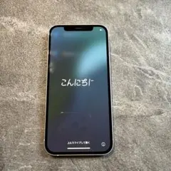 Apple iPhone 12 本体