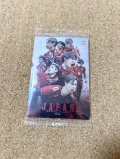 男子バレーボール 日本代表 髙橋藍 石川祐希 集合 SP ツインウエハース