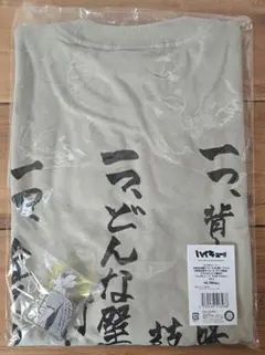 Shintaro Sakamoto Band Tシャツ ピスタチオグリーン M - メルカリ