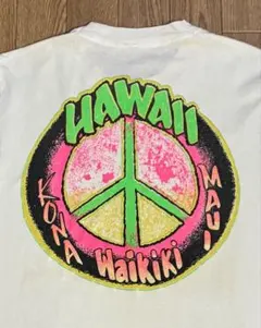 フルーツオブザルーム　90s USA製 シングルステッチ　グラフィックプリント