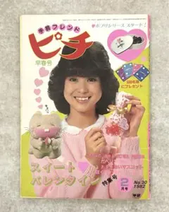 手芸フレンド　ピチ　47巻セット 2025年最新】手芸フレンド ピチの人気アイテム - メルカリ