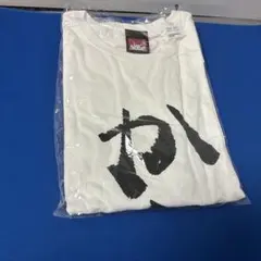 2026年最新】百鬼あやめ 100万人記念 クソダサビッグシルエットTシャツ 