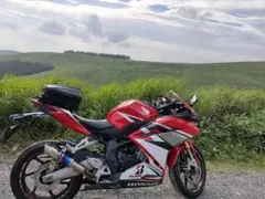 CBR600RR pc37 前期 レプソルカラー 逆車フルパワー - メルカリ