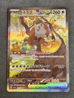 2026年最新】ガチグマSARの人気アイテム - メルカリ