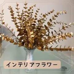 골드 유칼립투스 인테리어 플라워