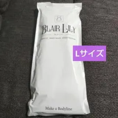 Item thumbnail for item 73cadbea-91fc-475a-ac06-4933a17a0a6f