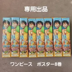 専用【RT 140637】ワンピースポスター8巻