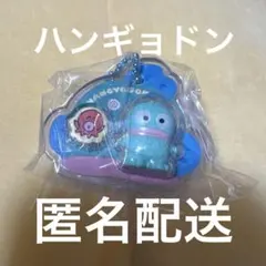 ハンギョドン サンリオキャラクターズ パッケージチャーム&チョコボーロ