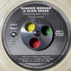 3898 レゲエ レコード 7インチ clear vynal