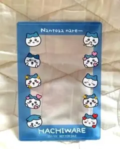 ちいかわ ノベルティ 硬質カードケース ハチワレ ちいかわらんど 限定