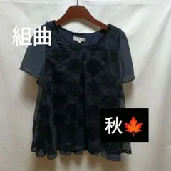 組曲 Tシャツ