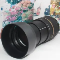 Item thumbnail for item 745912d4-b574-4336-b79b-90d19da8ac8b