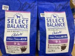 Item thumbnail for item 5662ba35-2c61-4dd9-896f-370f33f8fa6e