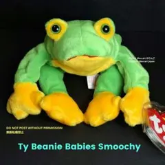 Ty ビーニーベイビーズ カエル ぬいぐるみ Smoochy スムーチー タグ付