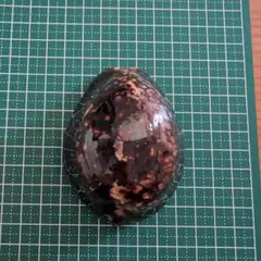 2025年最新】ハチジョウダカラの人気アイテム - メルカリ