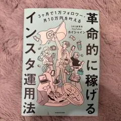 革命的に稼げるインスタ運用法
