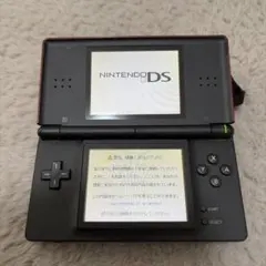 【動作確認済み】ニンテンドーDS Lite レッド 本体