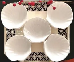貝の形小皿5点セット　新品、未使用
