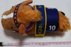 2025年最新】マヤノトップガン ぬいぐるみの人気アイテム - メルカリ