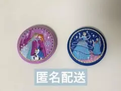 ディズニー 刺繍缶バッジ 2個セット アナ雪 シンデレラ